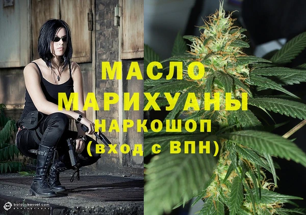 индика Армянск