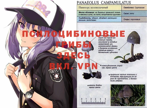 COCAINE Аркадак