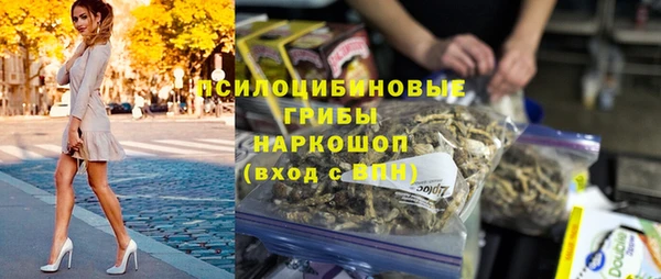 индика Армянск