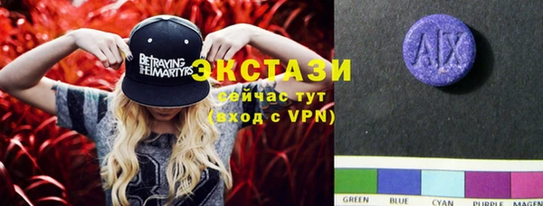 индика Армянск