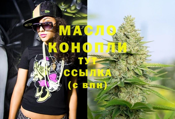 индика Армянск