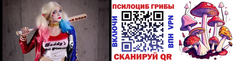 Псилоцибиновые грибы мухоморы  наркота  Балашиха 