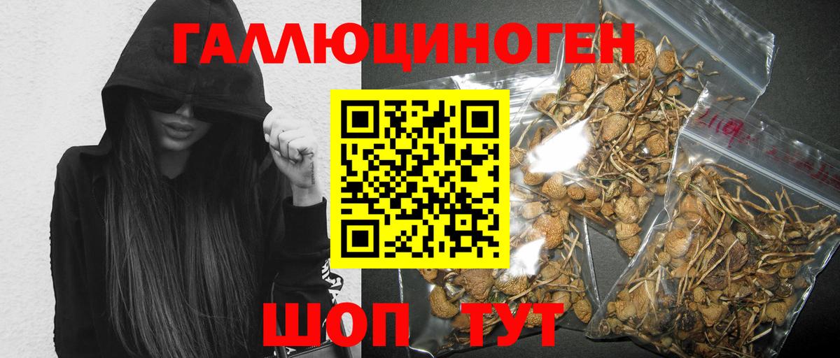 Псилоцибиновые грибы прущие грибы Балашиха